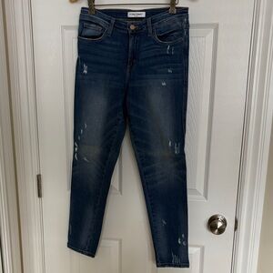 Flying Monkey Dark Blue Ankle length Skinny Jeans